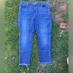 American Eagle Plus Size Jeans